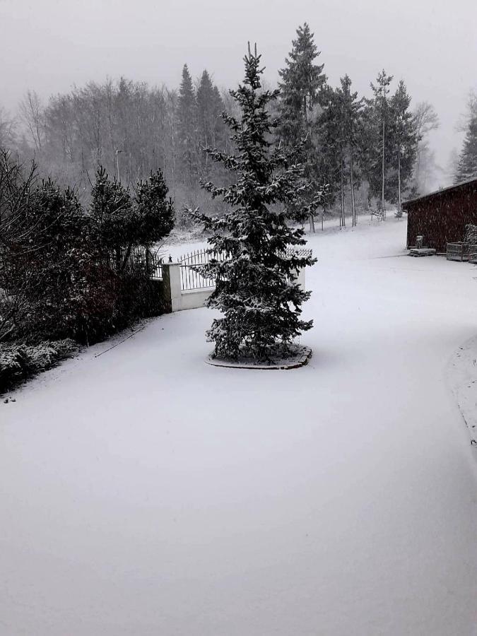 Ferienwohnung Im Westerwald Mengerskirchen Dış mekan fotoğraf